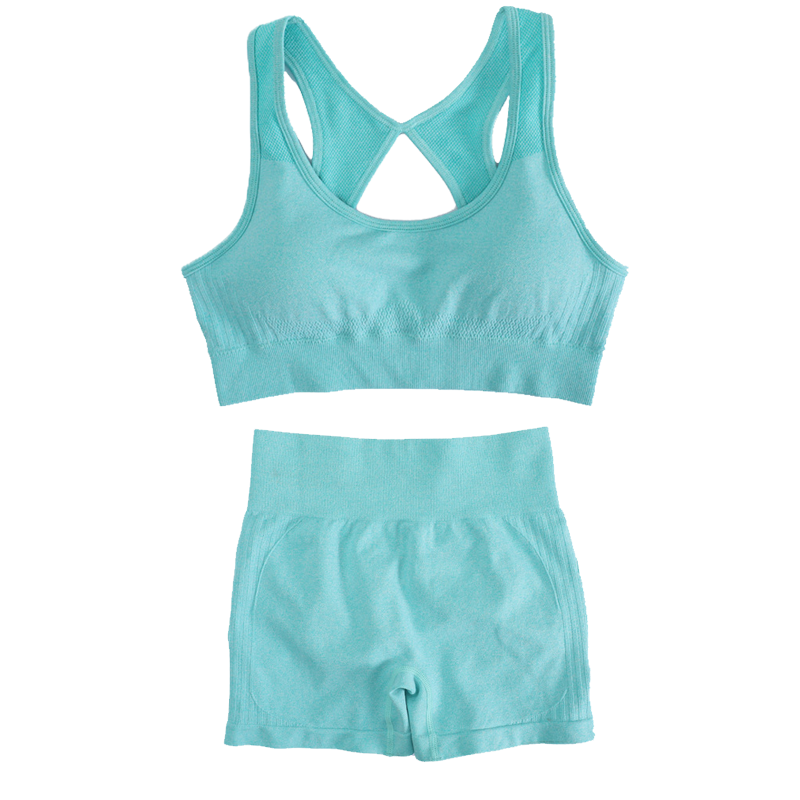 Yoga Fitness Top - Conjunto de Roupa de Yoga Feminina